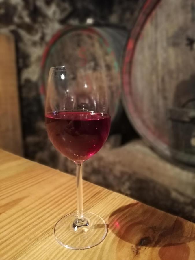 Ansitz Grustdorf Apartment Appiano Sulla Strada Del Vino Exterior foto